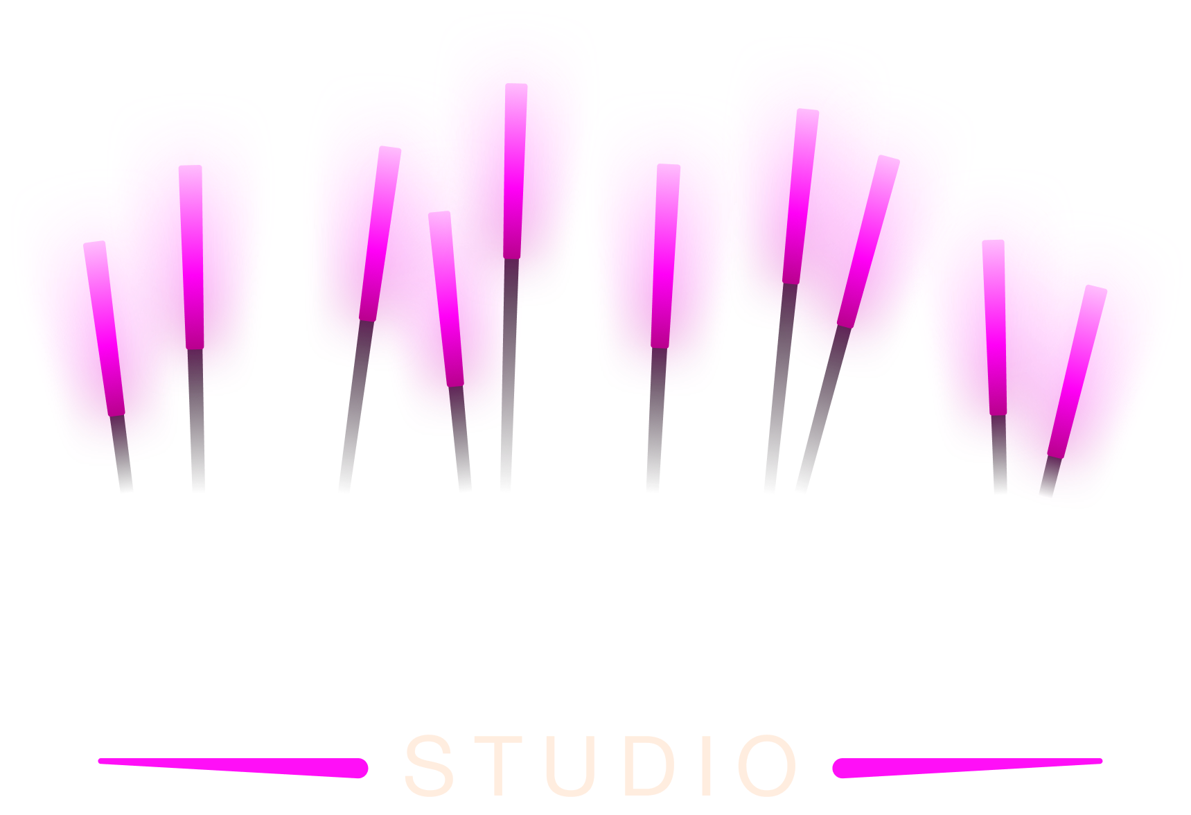 Nice Lights Studio logo